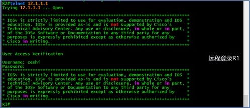 网络工程基础 路由器在划分网络权限中的应用与电脑软件支持